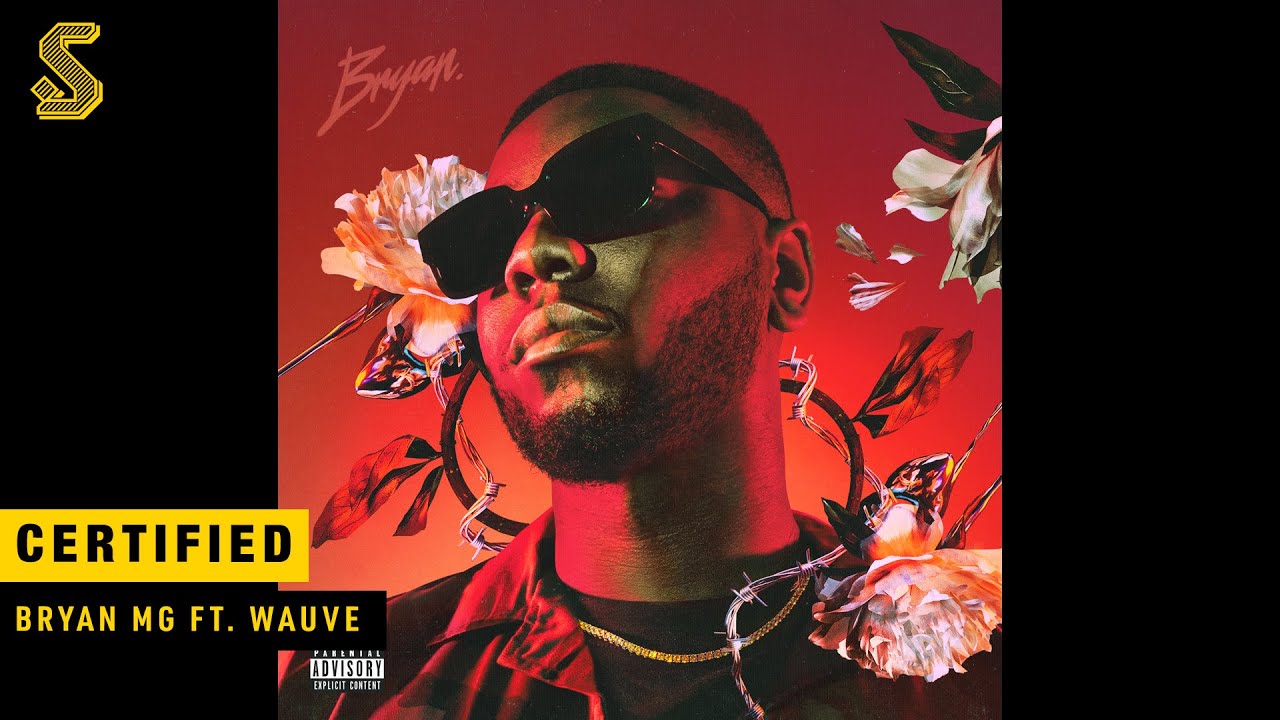 Bryan Mg, Diztortion - Certified ft. Wauve