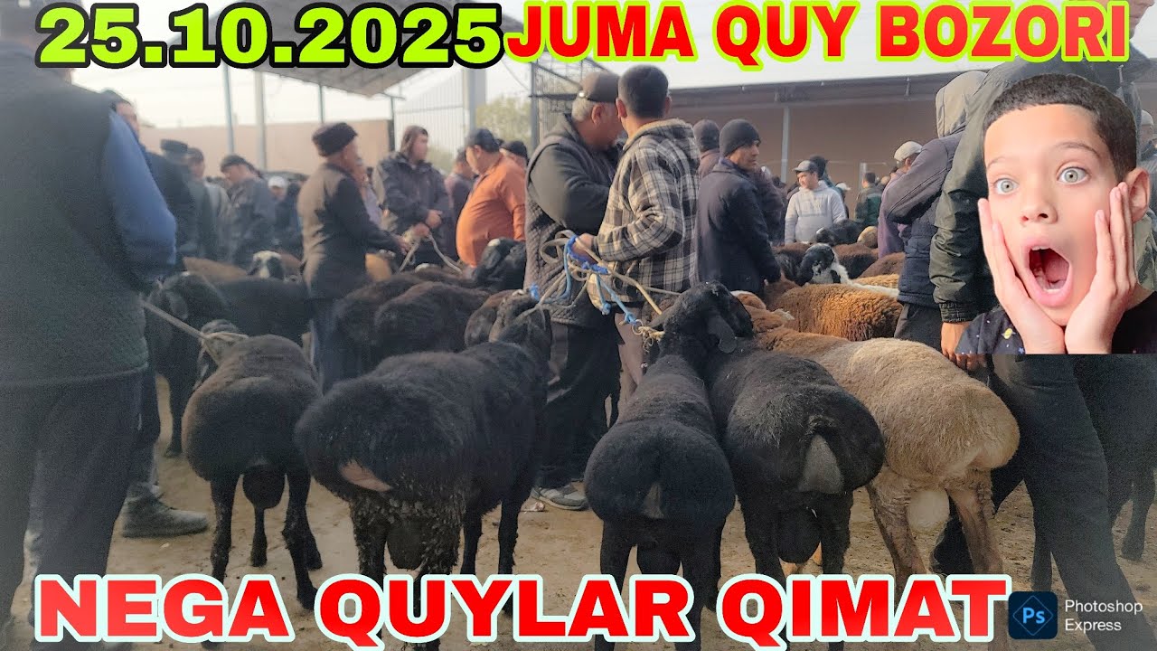 25.10.205.YIL.SAMARQAND JUMA QUY BOZORI QUYLARIMIS JUDAYAM QIMATLASHIB KETYABTI ENDI NIMA BULADI TEZ