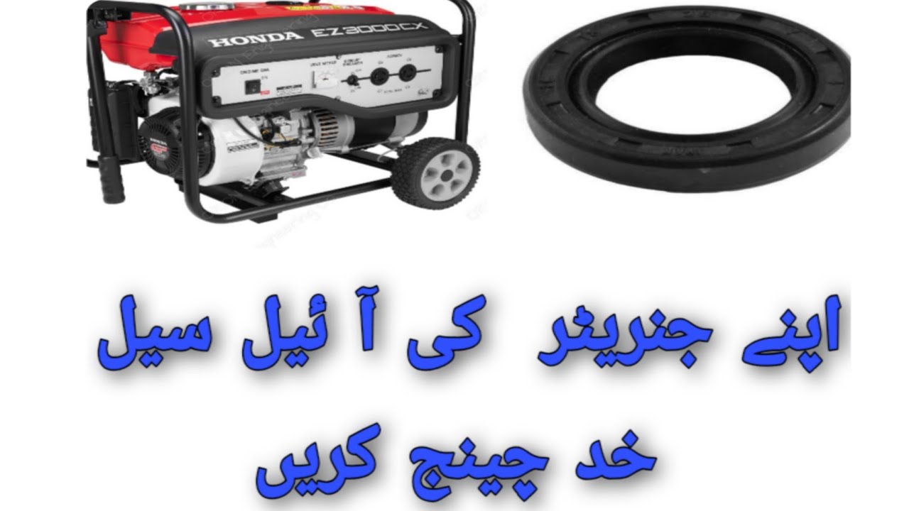 Generator Oil seal leak change at home