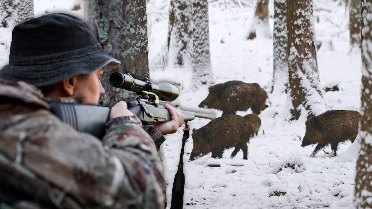Hunting Serbia - Wild boar hunting - Lov u lovištu Stara planina - Lov divlje svinje, jelena,srndaća