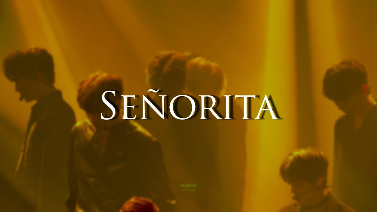 [FMV] Senorita mingyu