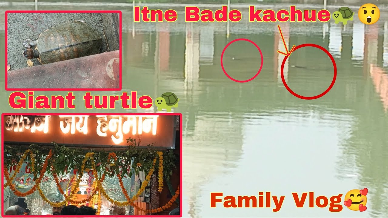 Panki Mandir ke Kachua Talab me Bade-Bade Kachue 🐢 | Family Vlog