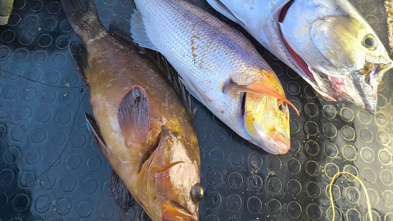 💦Τα ρεκόρ είναι για να σπάνε ! 💪🎣🐟