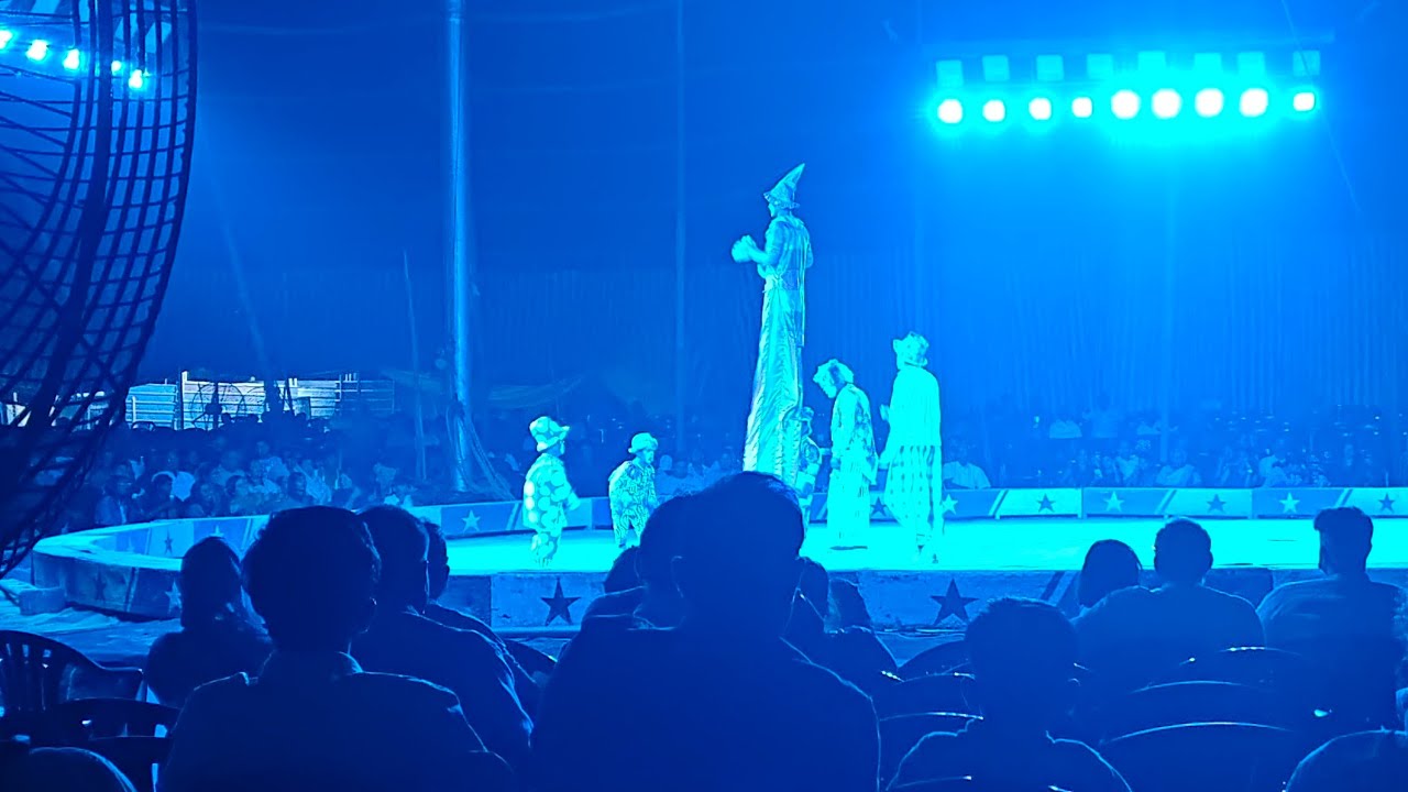 Chat With Alloos is live!#circus