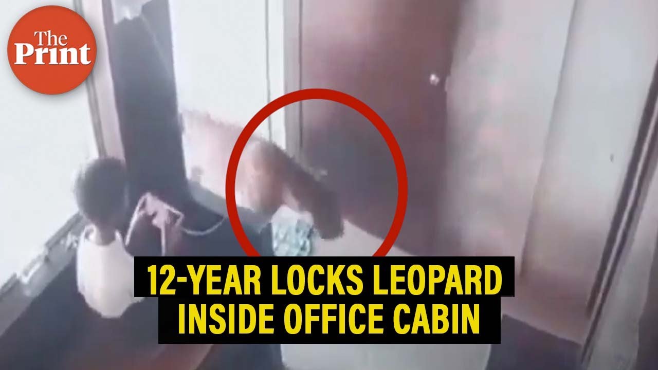 12 year old boy traps a leopard in an office cabin until help arrives in Malegaon