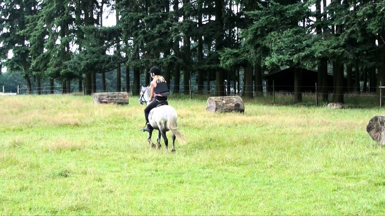 Anne - Lyn & Lars Cross