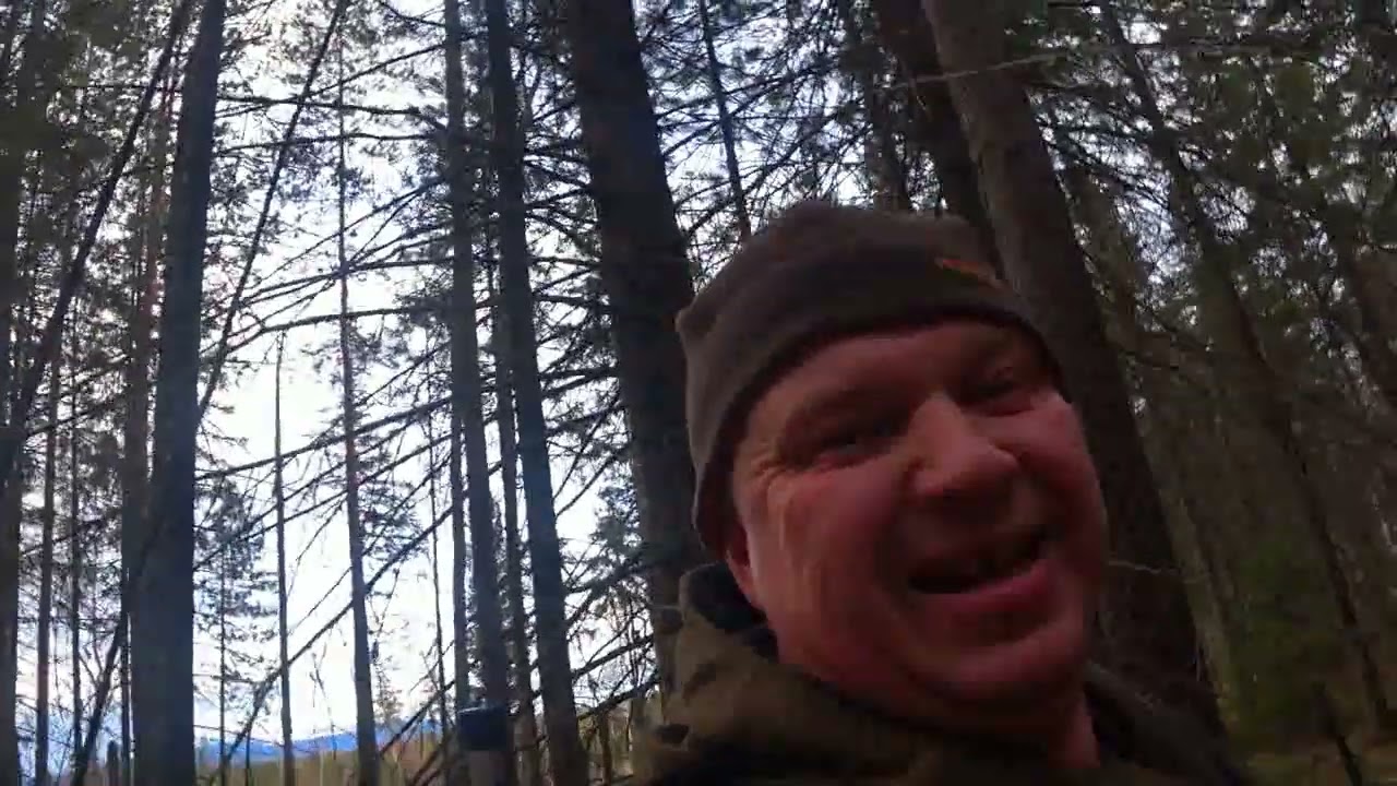 Отпуск закончился а мы опять в тайгу гонять лосей 