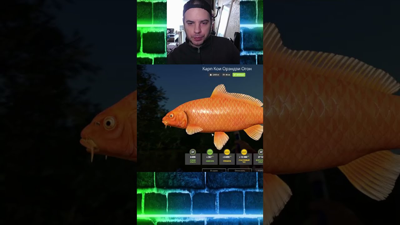 ✅Русская рыбалка 4✅ !tg !тт !донат #russianfishing4  #shorts