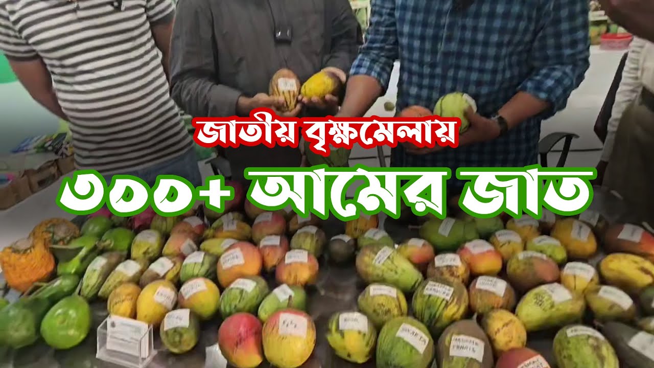 ৩০০+ আমের জাত নিতে জাতীয় বৃক্ষমেলায় JM Tropical Fruit Park #জাতীয় বৃক্ষমেলা #mango #plants #আম