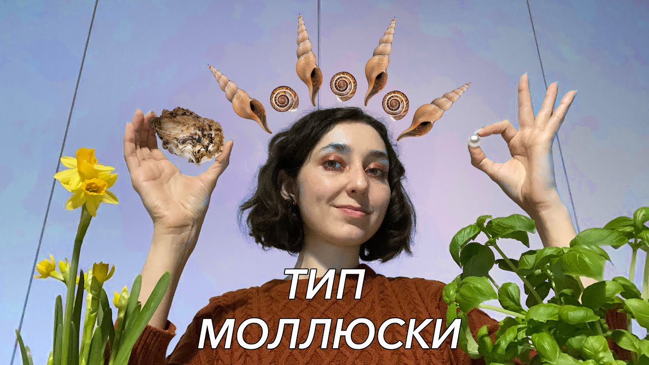Урок 