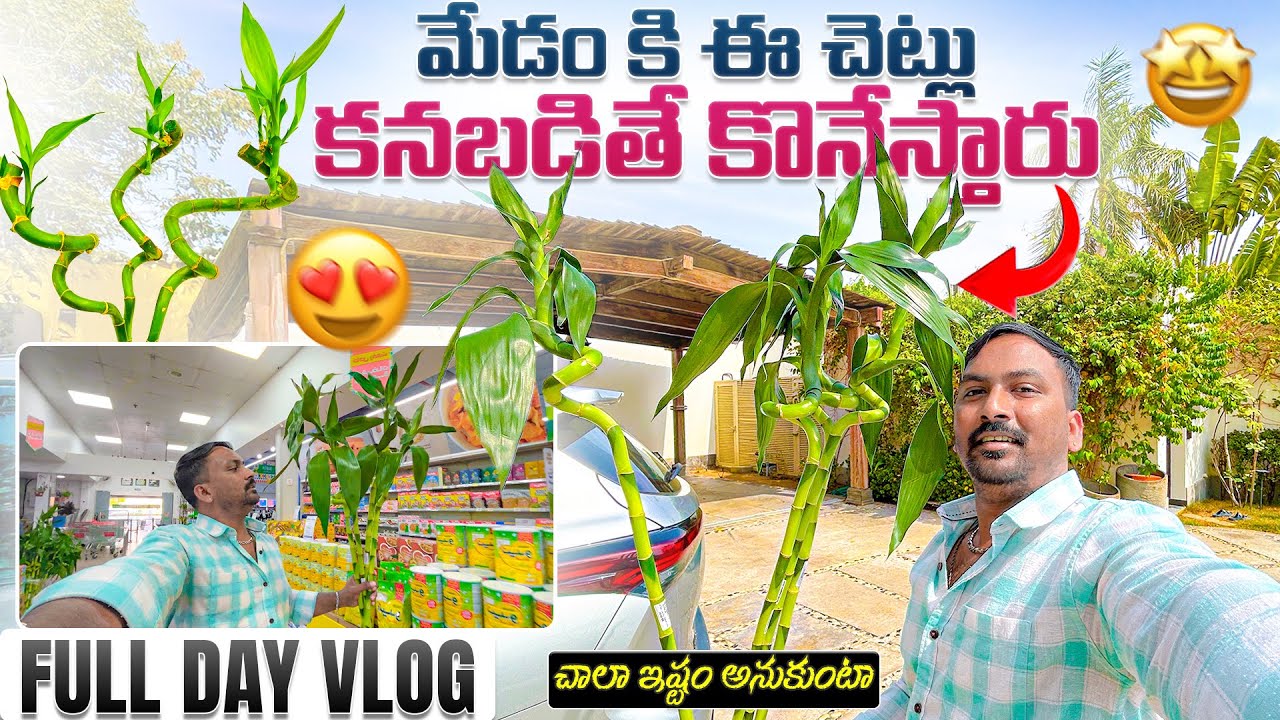 మేడం ఈ చెట్లు కనబడితే కొనేస్తారు Vlog || ఇంట్లో ఎక్కడ పడితే అక్కడ షో పెట్టారు || @RJPT_VENKEY 