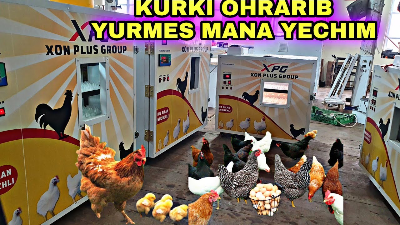 SEZONI KELAYOTKAN BIZNESLARDAN BIRI INKBATOR BIZNESI