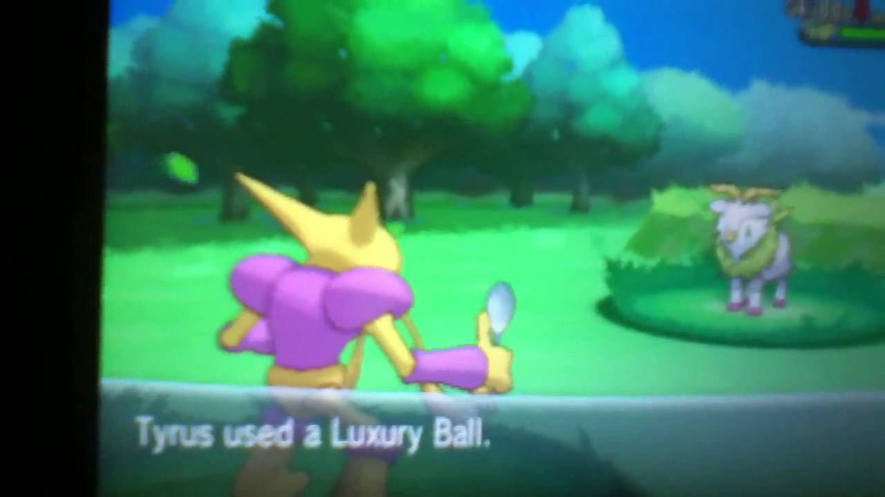 Adr1v3!!! Live Shiny Skiddo!! 40 chain! Pokemon X