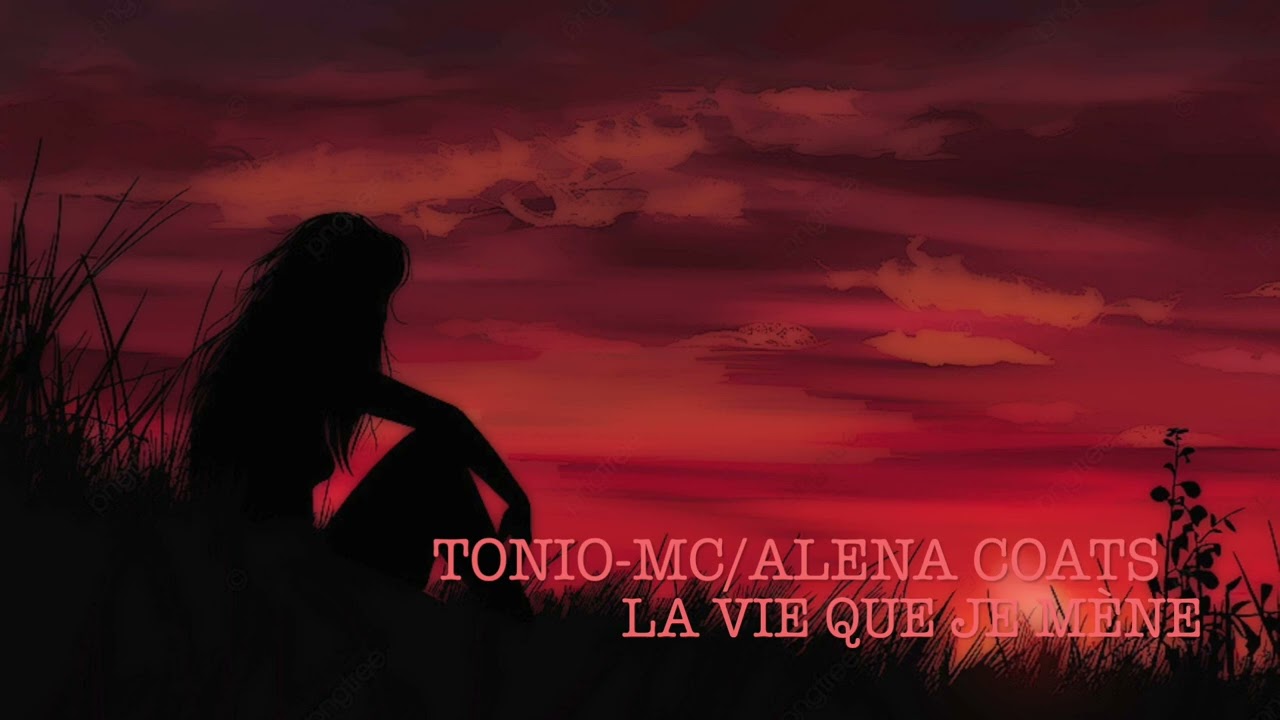 La vie que je mène 