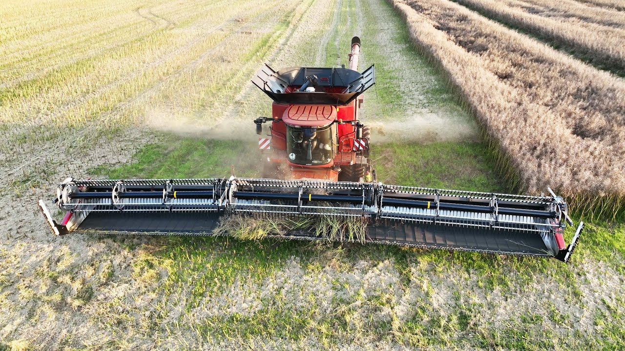 Case IH 9260 Axial-Flow with 50ft. wide MacDon FD250 Header cutting Canola | Big Harvest