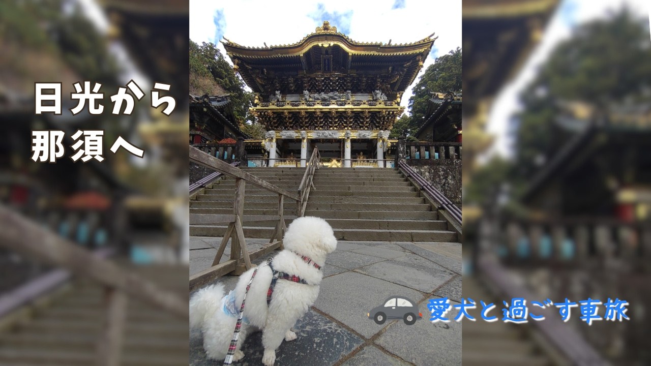 日光～那須｜愛犬と過ごす車旅