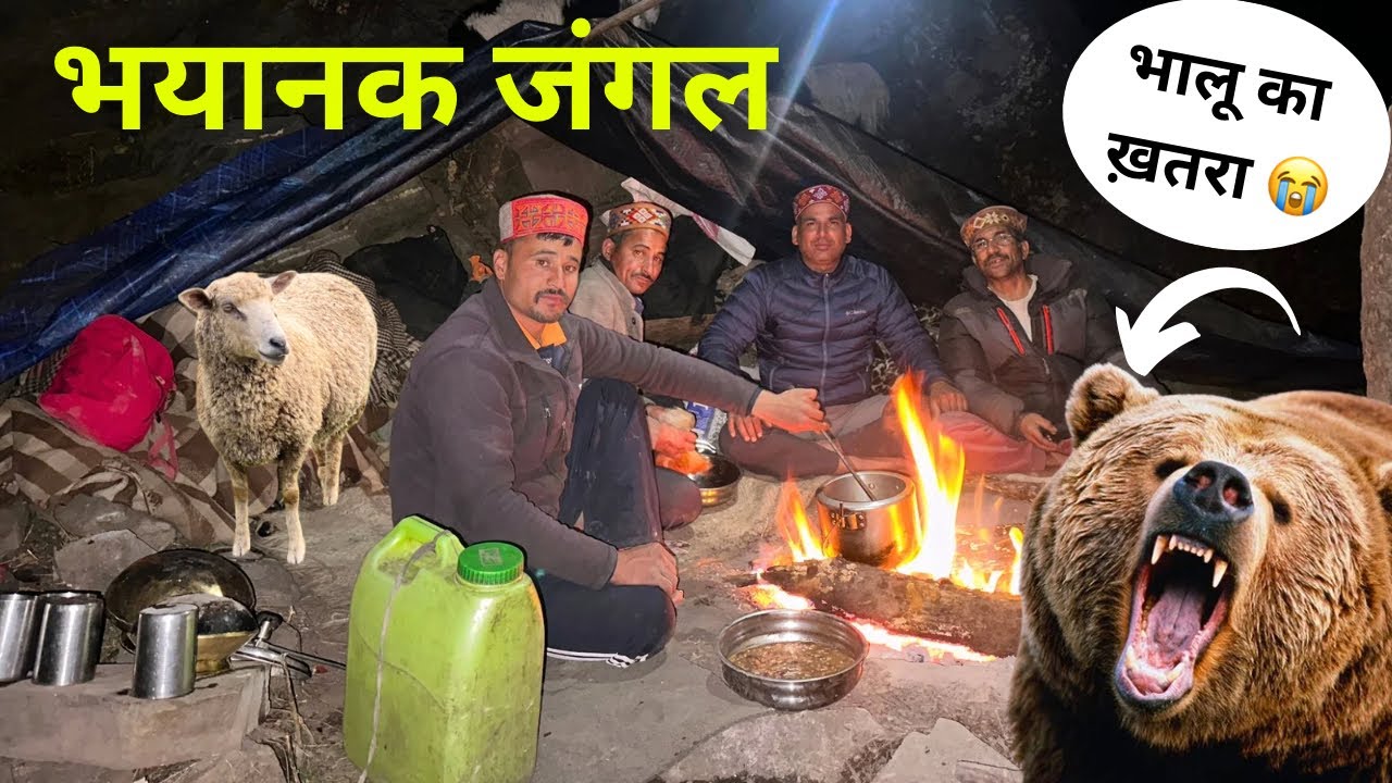 भयानक जंगल में भालू का खतरा 😭😭भेड़ बकरियों को चराना इस जंगल बहुत ही मुश्किल! Nomadic shepherd 