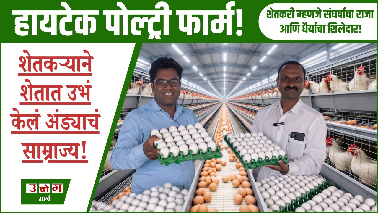 आधुनिक पोल्ट्री यंत्रणा, आणि शाश्वत व्यवसाय मॉडेल! | स्मार्ट अंडी व्यवसाय | Udyog Marg 