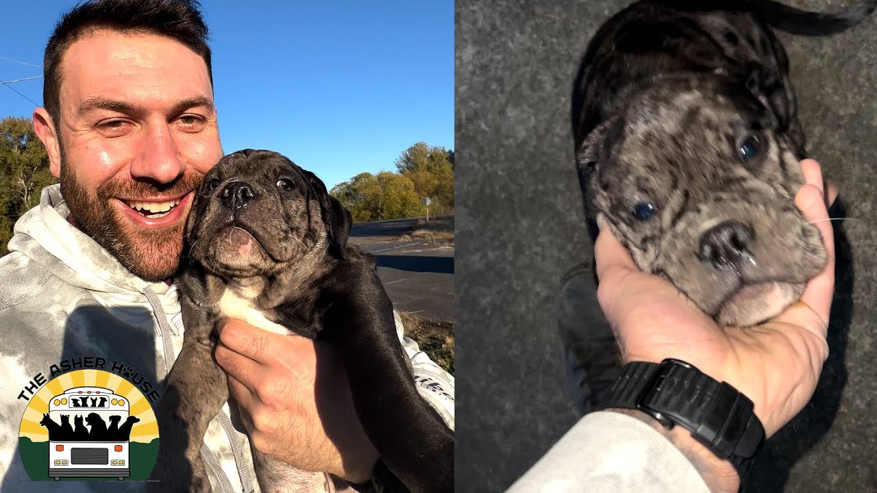 Arnold's short life has been a whirlwind but he's safe now | The Asher House