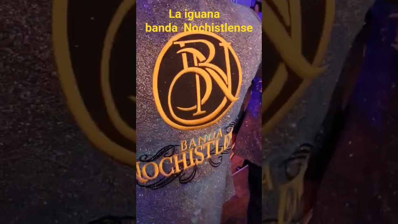 La iguana Banda nochistlense!!#banda#laiguana