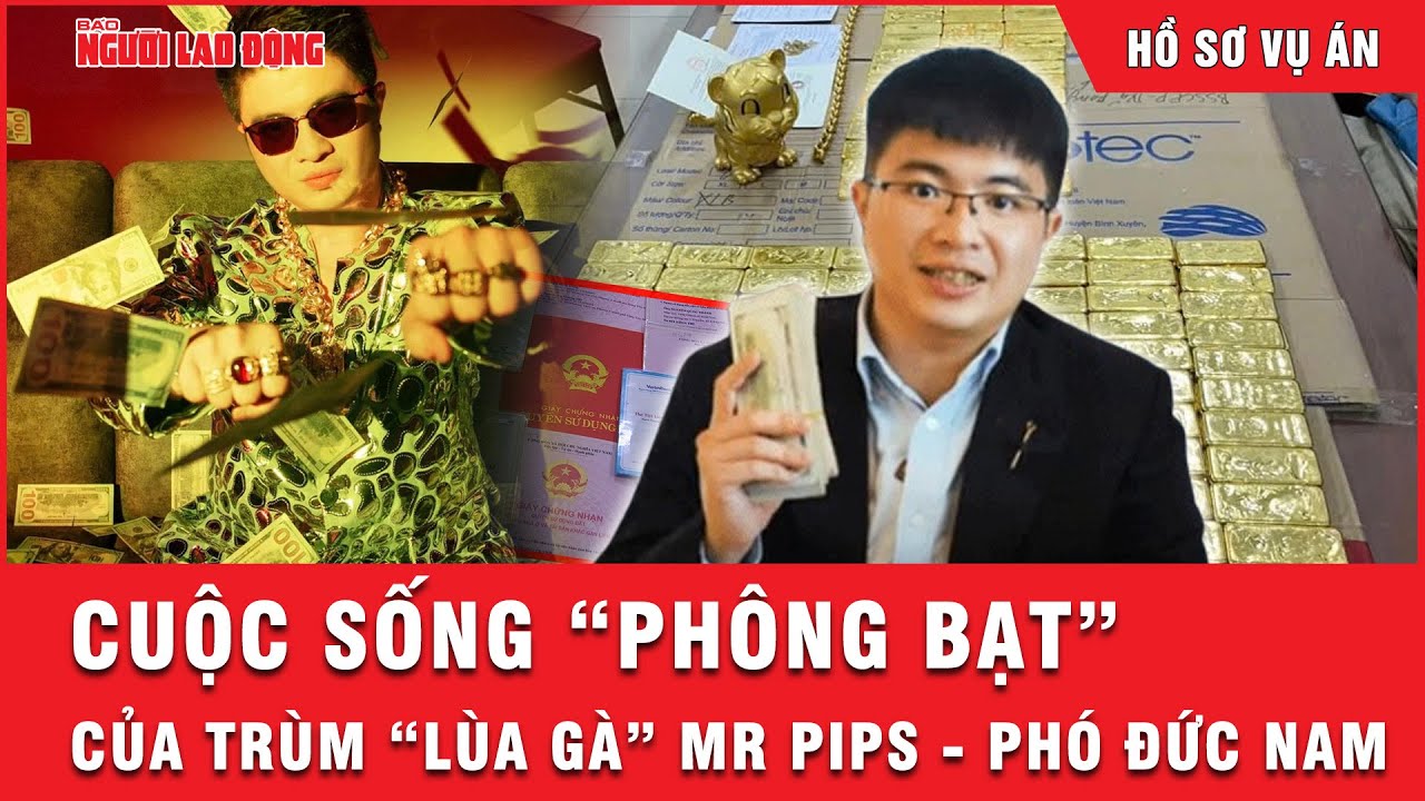 Vụ lừa đảo chấn động của Mr Pips - Phó Đức Nam: Hàng nghìn nạn nhân mắc bẫy tinh vi | Hồ sơ vụ án