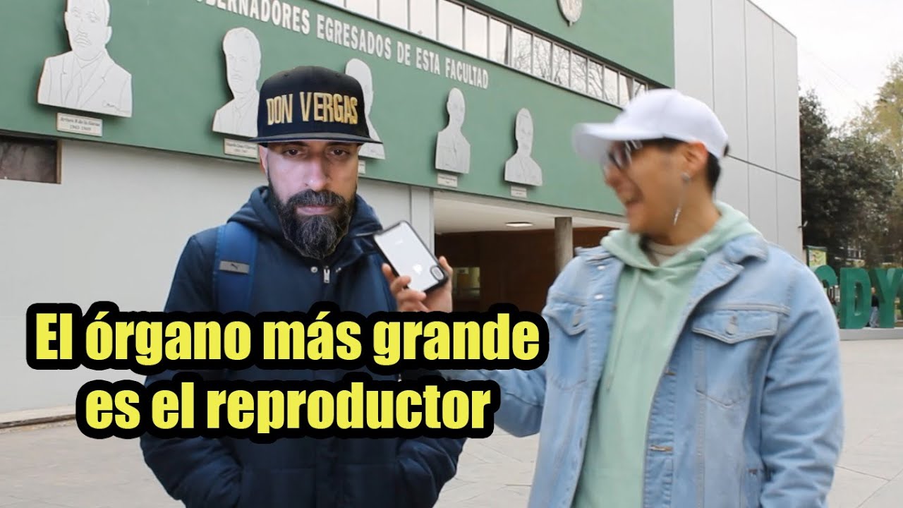 PREGUNTAS DE PRIMARIA VS FACDYC UANL