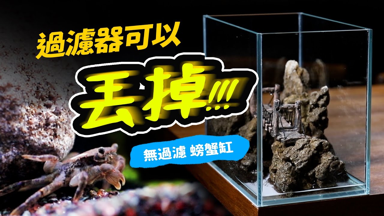 沒有過濾就能養，不需一毛錢電力花費的水族箱！ No Filter Tank. Feeding Pet Crab.