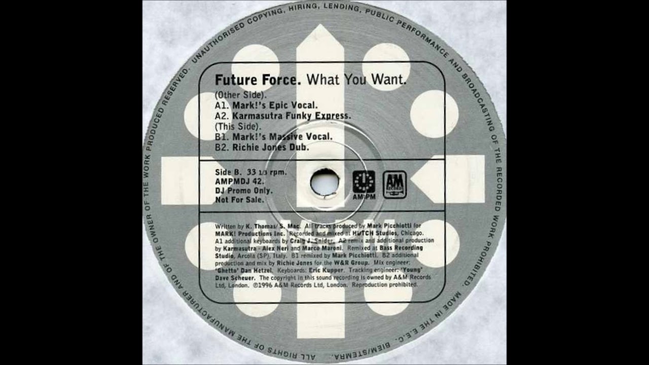Future Force - What You Want (Kamasutra Funky Express)