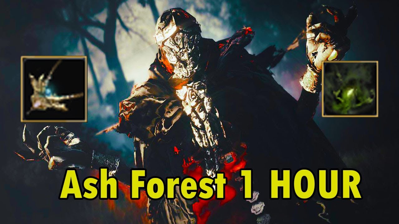 ASH FOREST 1 HOUR - BDO
