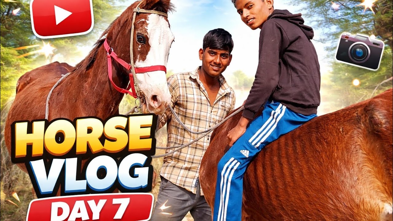 आज हमारी केसर घोड़ी की बालो की सफ़ाई कर दी😱|| और बहनो की फोटो खींची 📷||horse vlog 7 ||