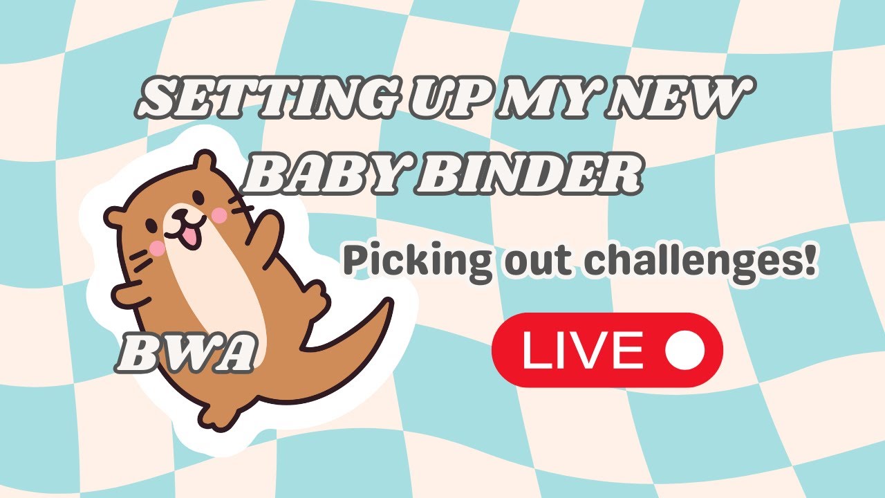 I'm Back! Let's Put This Binder Together - BudgetWithAmanda