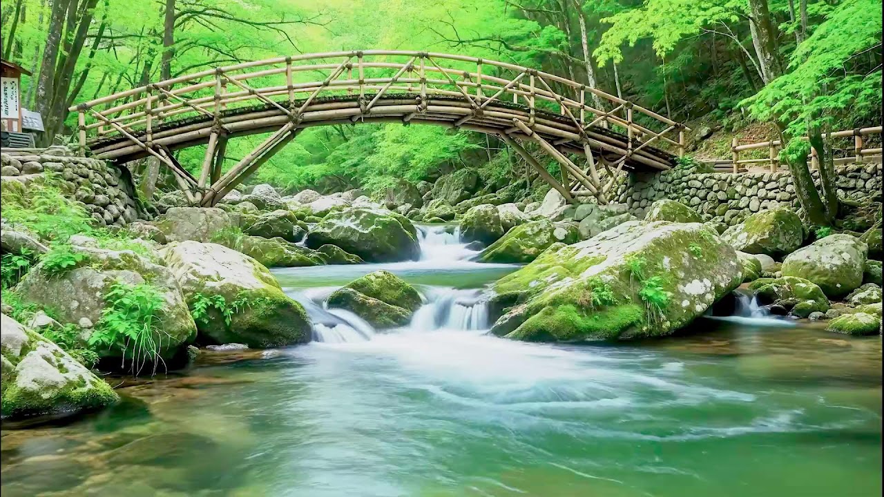 Peaceful River Sound for Deep Sleep | Natural Therapy for Better Wellness and Health