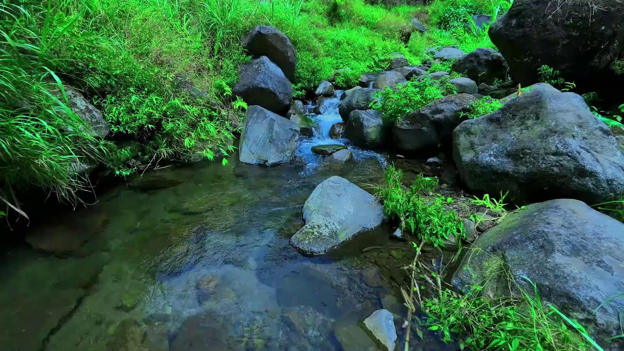 Mountain Stream Sounds, Beautiful Forest Atmosphere and No Birdsong, Nature Sounds for Relaxing