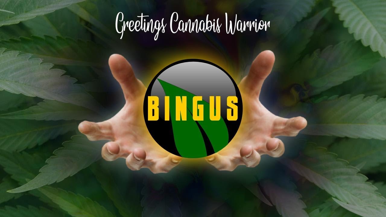 Bingus Veg Walk Through