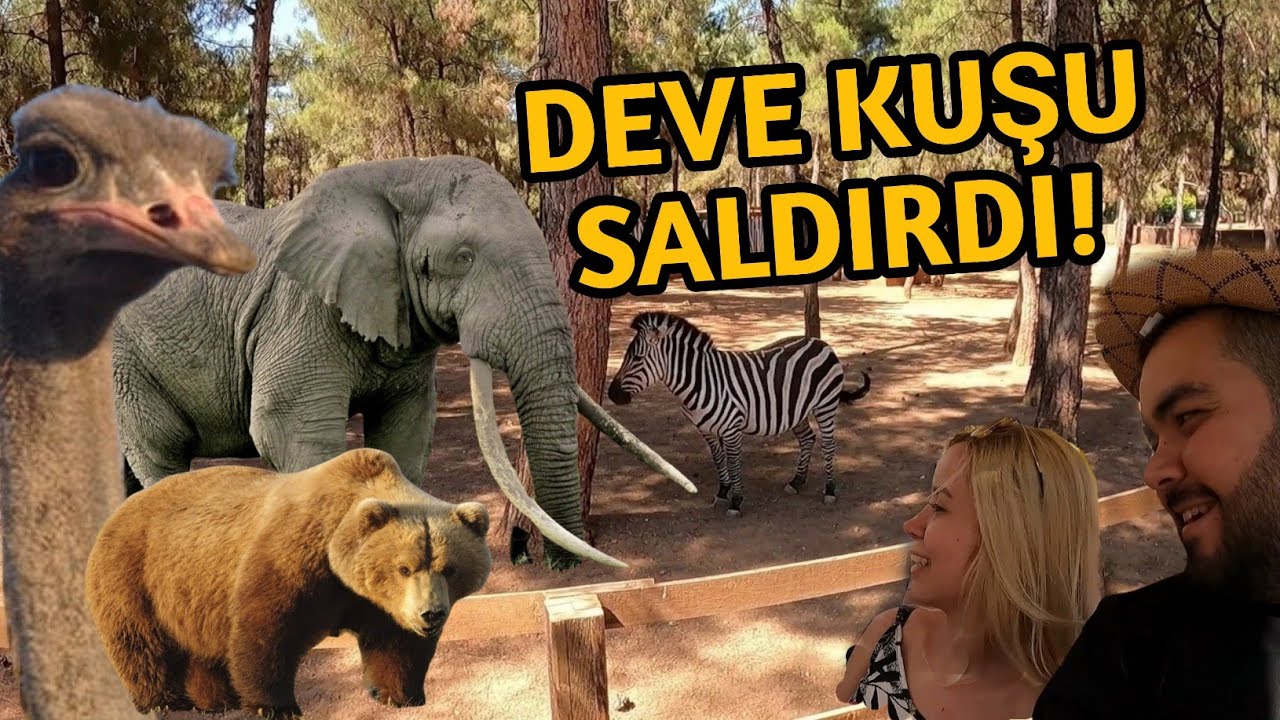 DEVE KUŞU SALDIRISINA UĞRADIK! TÜRKİYENİN EN BÜYÜK HAYVANAT BAHÇESİ GAZİANTEP - GAZİANTEP ZOO