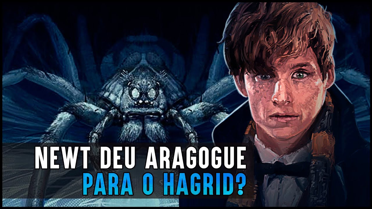 NEWT DEU ARAGOGUE PARA O HAGRID? - #PAPOFURADO 20