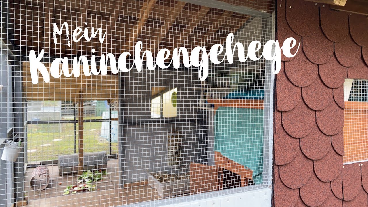 Mein artgerechtes Kaninchengehege - Update Frühling 2023 | Kaninchenstar
