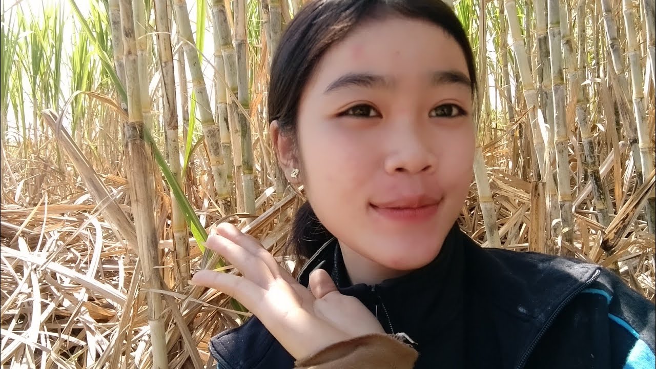มาจ้ากินข้าวเที่ยงนำกันข้าวบ่ายมะขาม😋😁10 กุมภาพันธ์ ค.ศ. 2026