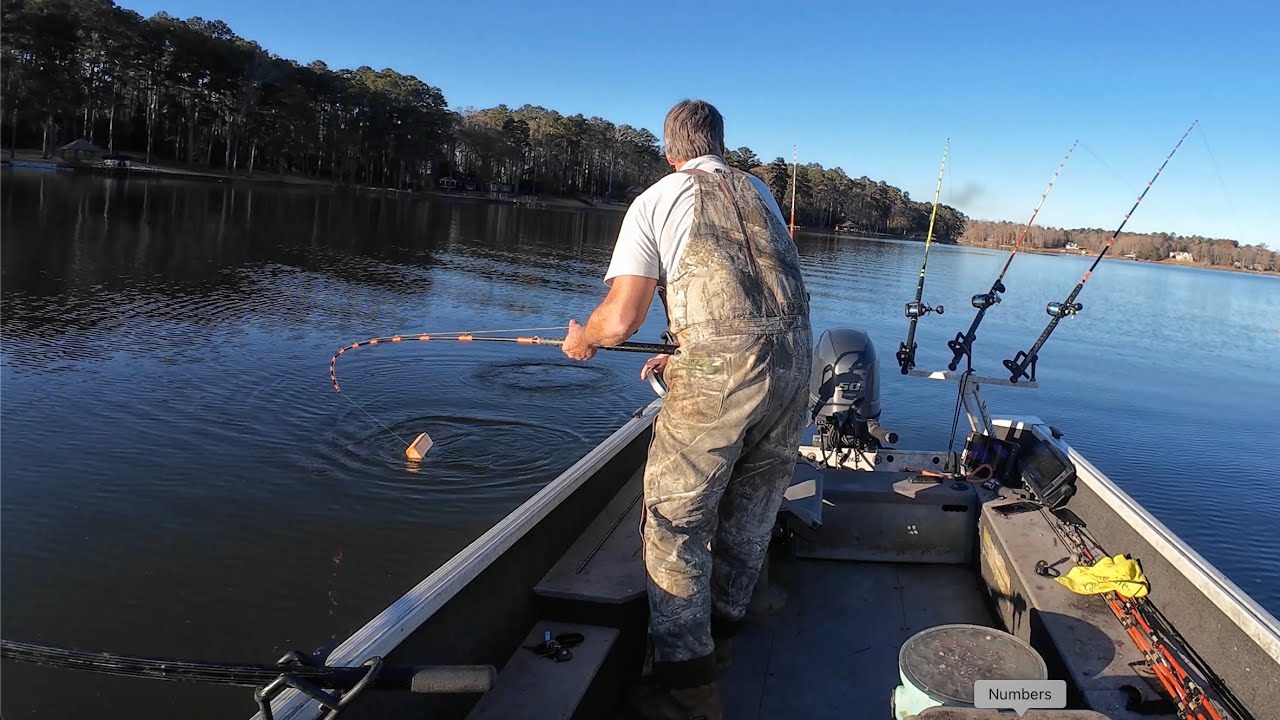 I Murdered The Fish At Murder Creek Lake Sinclair Georgia