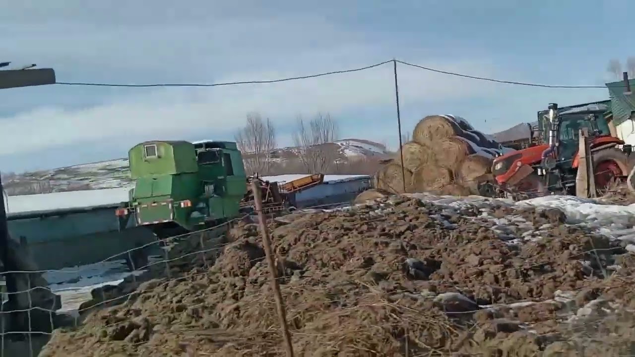 Сүмбе ауылы 2025ж