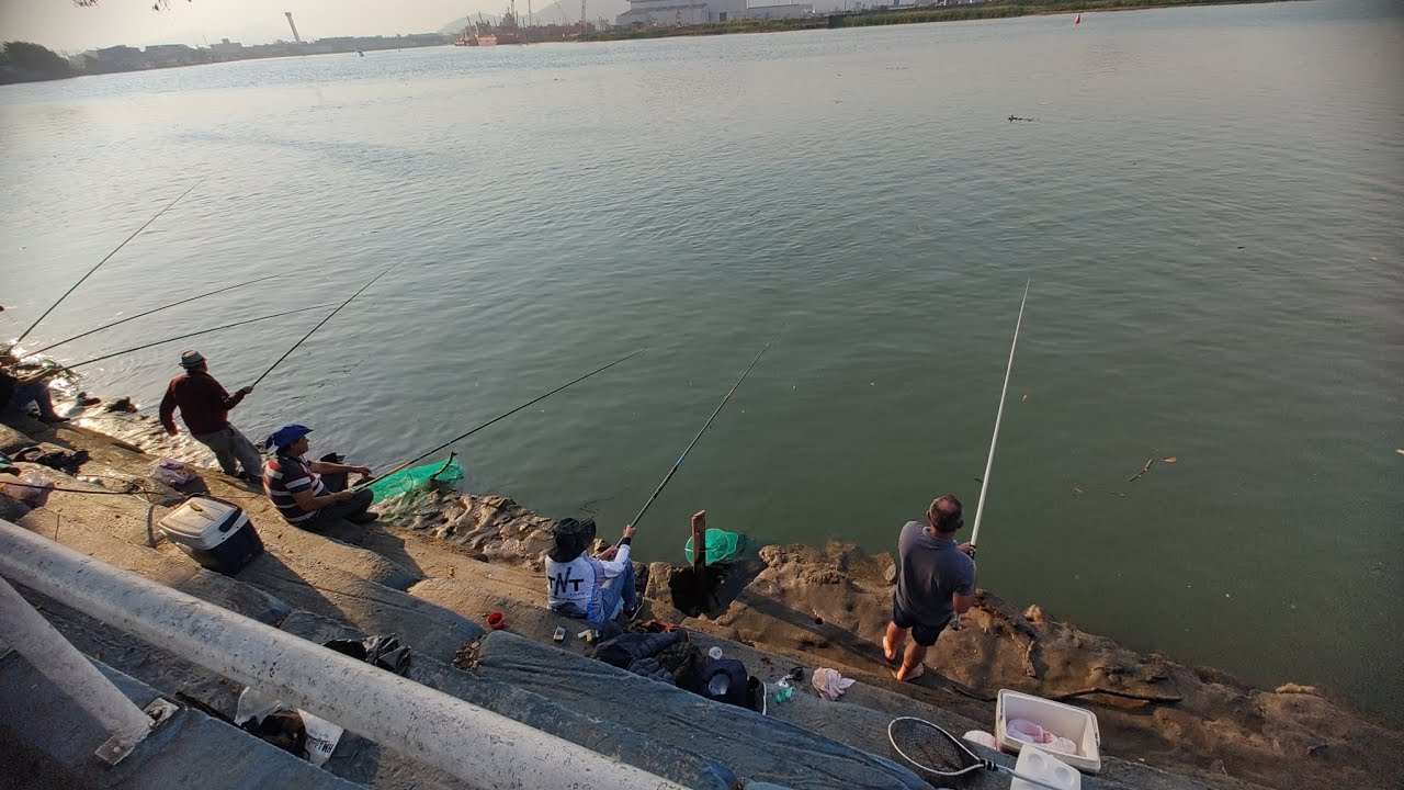 pescaria de tainha hoje deu bastante tainha #Itajaí Santa Catarina