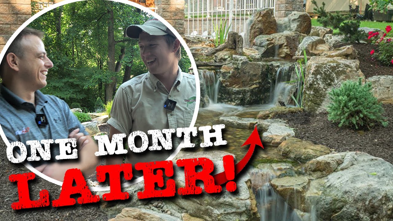 One Month Later... We're Back With A Surprise Visitor! | Tussey Landscaping