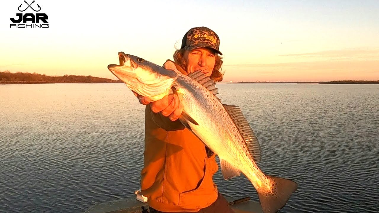 I found Some Hammers! Winter Louisiana Speckled Trout...