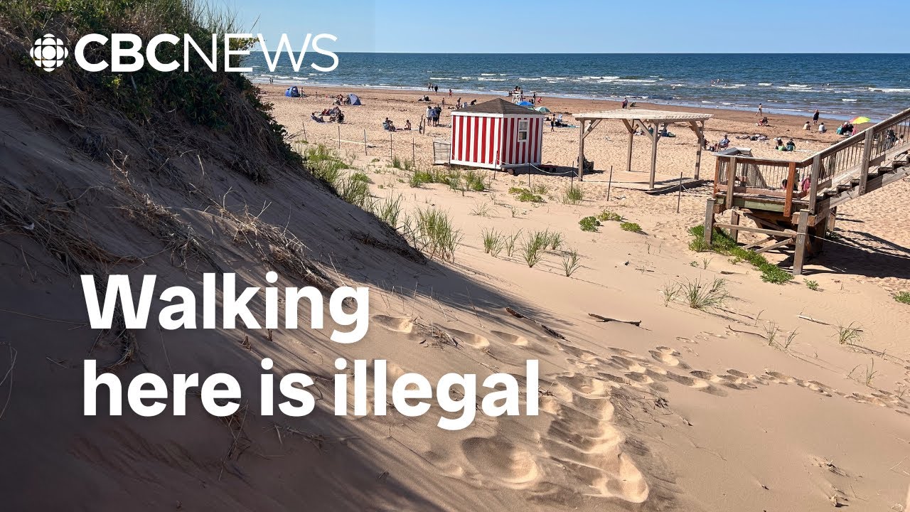 Why Parks Canada is warning visitors to stay off P.E.I.'s sand dunes