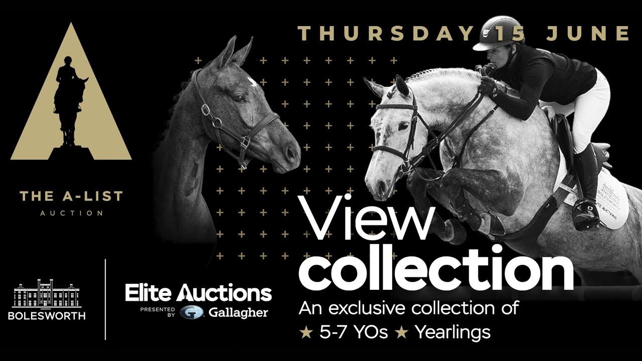 Bolesworth Elite Auctions | A-List Auction 2023