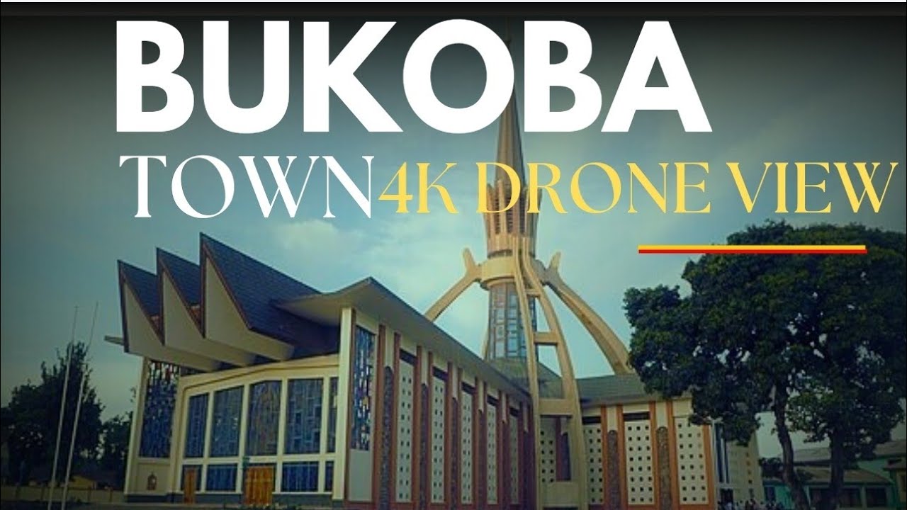Bukoba Town, Tanzania (4K Drone View ) #bukoba