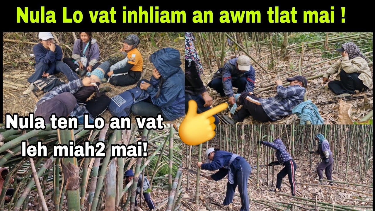 Nula ho Lo vat inhliam an awm tlat mai !! : Anva fakawm thintak em !
