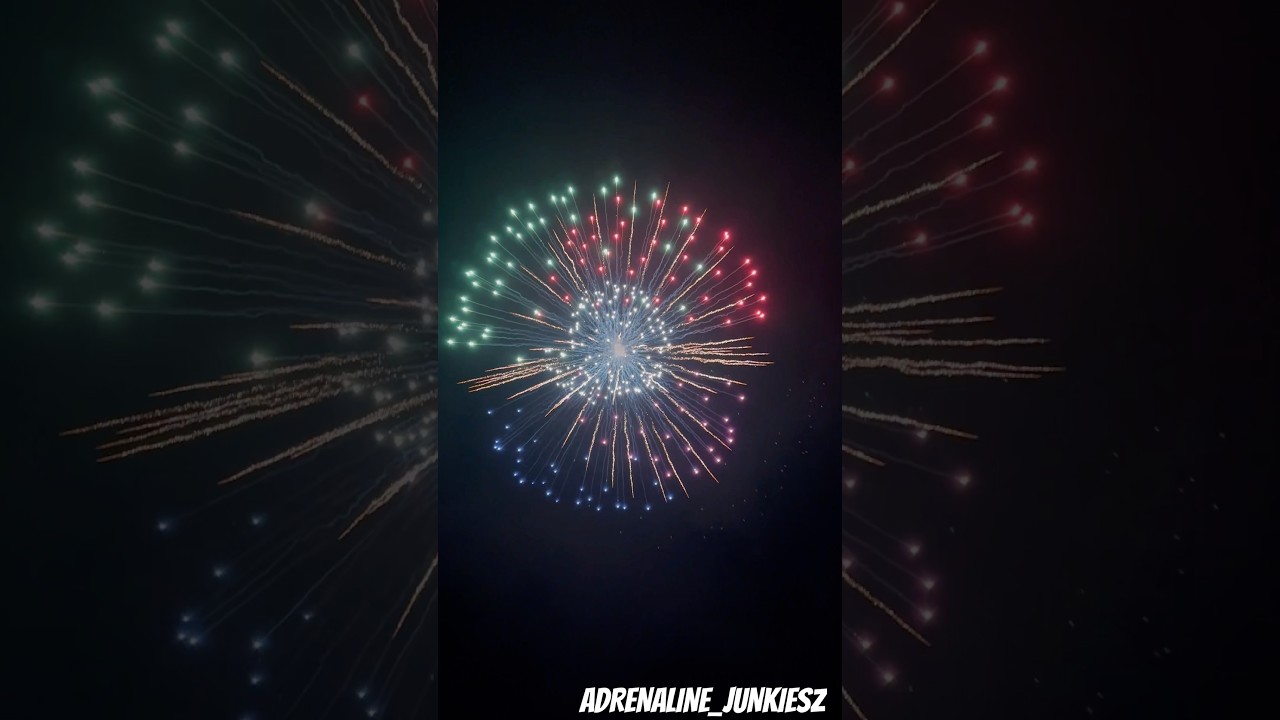 6 Inch Shell Enigma Jellyfish 2023/2024 #6inch #shell #fireworks #pyro