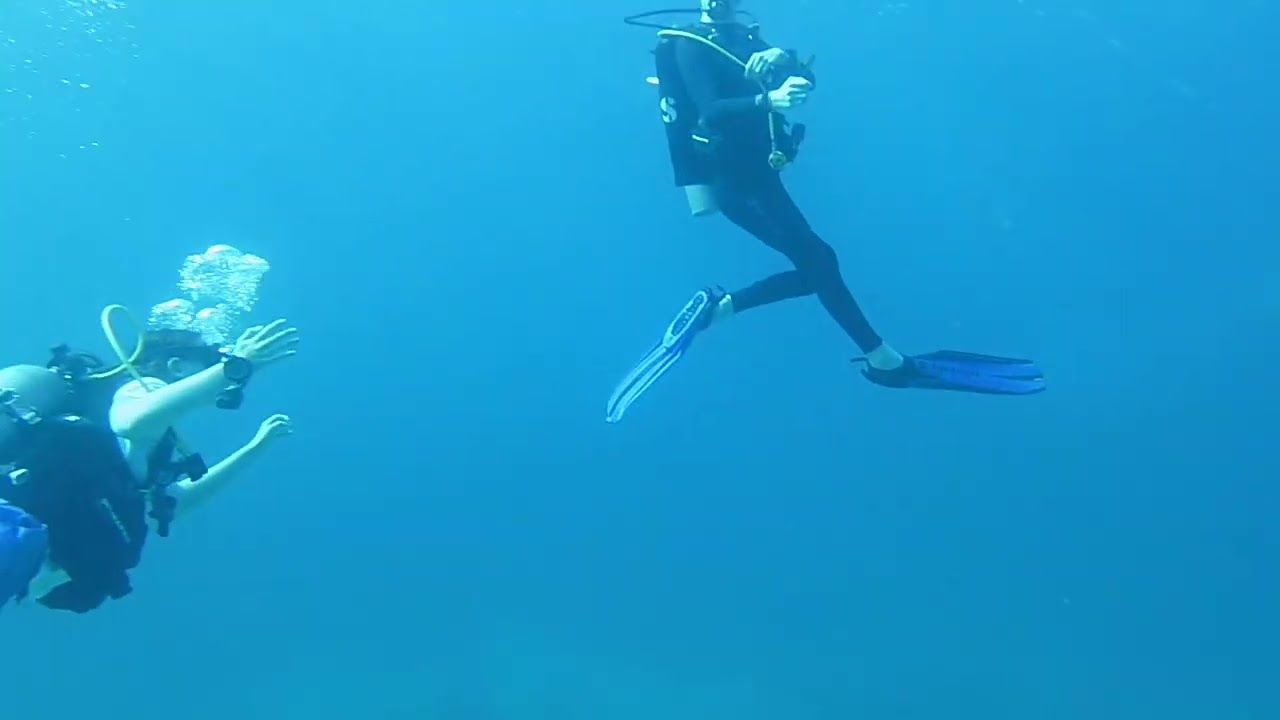 Jack Knott - First shark spotted