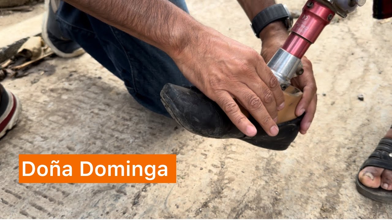 Tostadas de verdura DELICIOSA | doña Dominga y su prótesis 